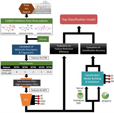 Development of Predictive Models for Identifying Potential S100A9 Inhibitors Based on Machine Learning Methods